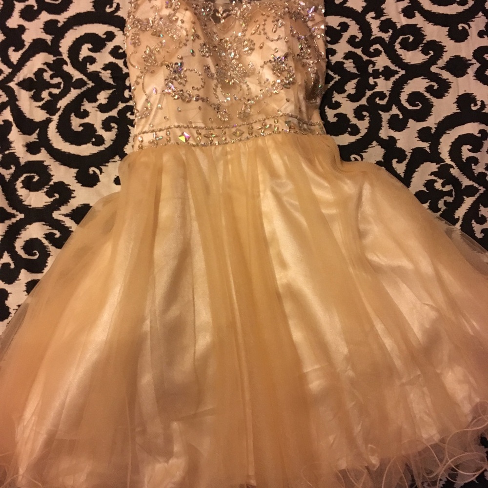 Prom Dress - Picture 5 of 5